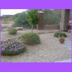 Front Yard 2.jpg